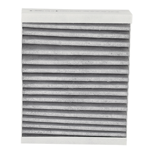 RadonTec | Supply Air Activated Carbon Filter F8 for...